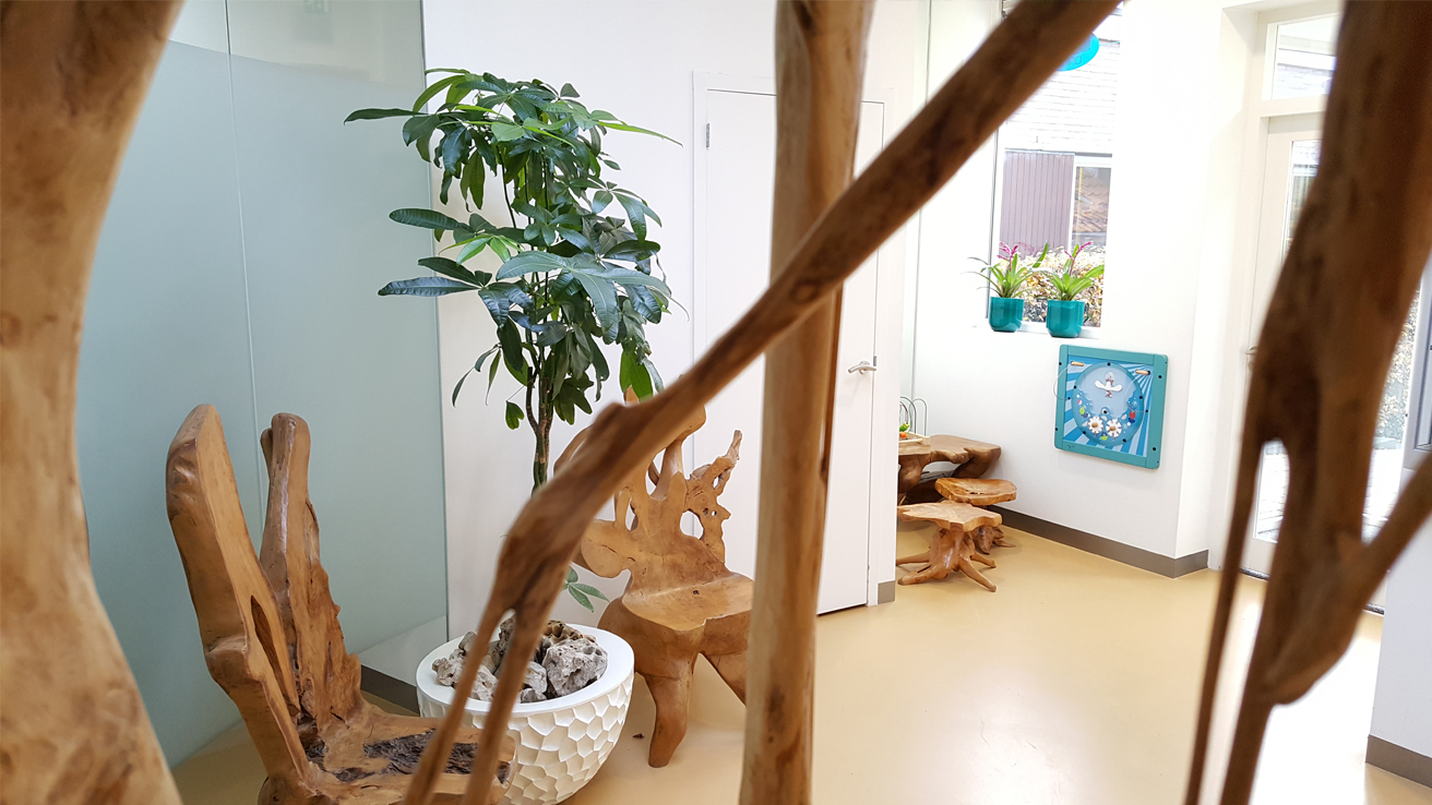 Tandartspraktijk Tamminga-Tandarts Arnhem Oosterbeek